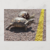 De Grote Race Briefkaart (Voorkant)