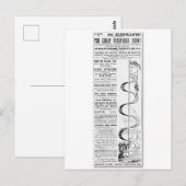 De grote reclame voor forepaugh-Show Briefkaart (Voorkant / Achterkant)