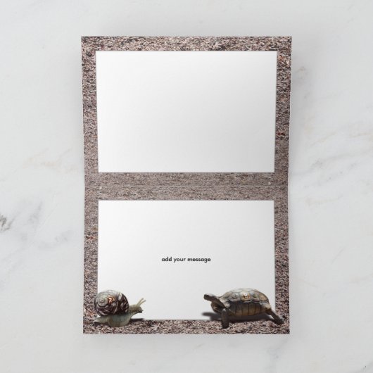 De grote schildpad en de slakkenas kaart (Binnen)