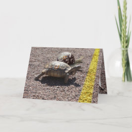 De grote schildpad en de slakkenas kaart