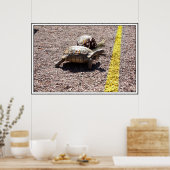 De grote schildpad en slakkenas poster (Keuken)