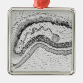 De grote serpent Mound Metalen Ornament (Voorkant)