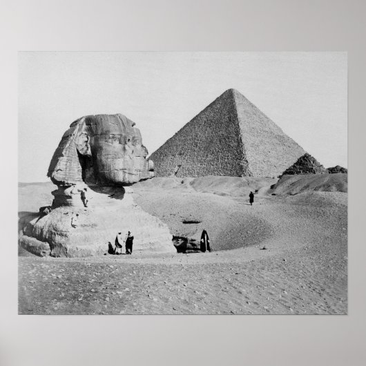 De Grote Sfinx, 1877. Oude foto Poster (Voorkant)
