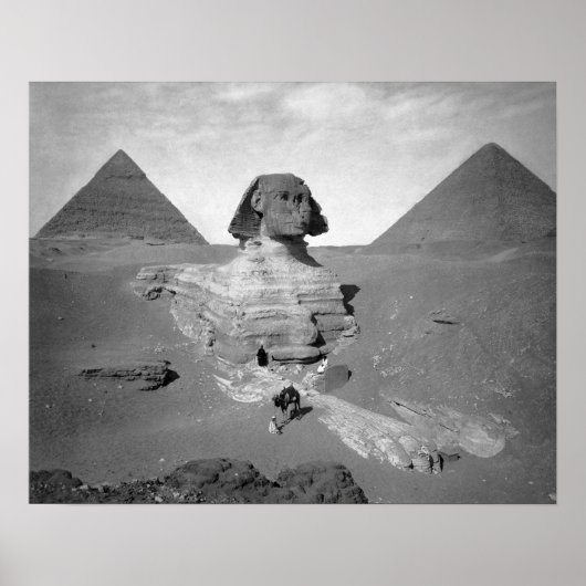 De Grote Sfinx & piramides, 1878. Antieke foto Poster (Voorkant)