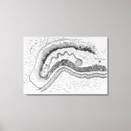 De grote slangenheuvel canvas afdruk (Voorkant)