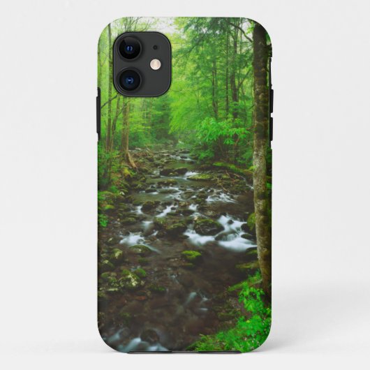 De Grote Smoky Mountains Case-Mate iPhone Case (Achterkant)