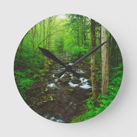 De Grote Smoky Mountains Ronde Klok (Voorkant)