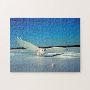 De Grote Sneeuwuil Roofvogel Legpuzzel