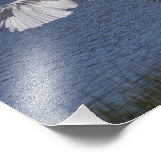 De grote snuit foto afdruk (Hoek)