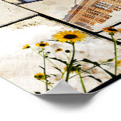 De grote staat Texas Print (Hoek)