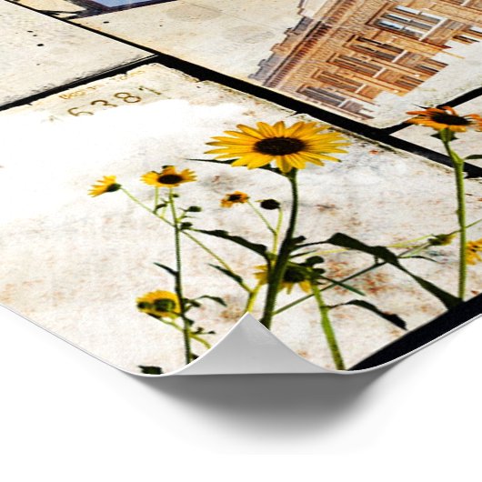 De grote staat Texas Print (Hoek)