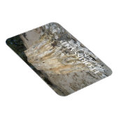 De grote stommel, florissant-fossiele zakken magneet (Rechterzijde)