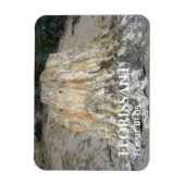 De grote stommel, florissant-fossiele zakken magneet (Verticaal)