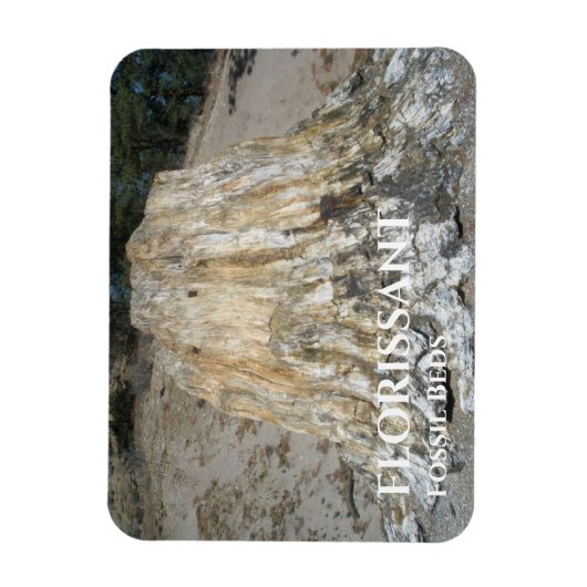 De grote stommel, florissant-fossiele zakken magneet (Verticaal)
