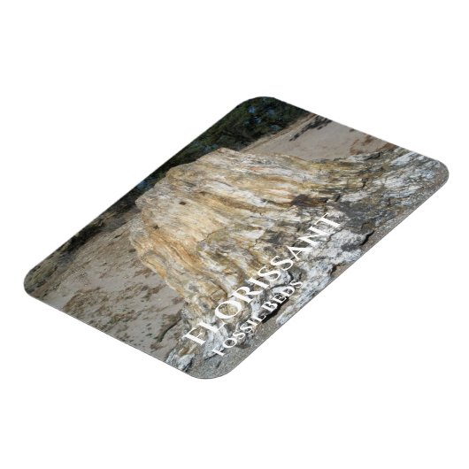 De grote stommel, florissant-fossiele zakken magneet (Linkerzijde)