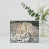De grote stomp, Florissant Fossil Beds, WY Briefkaart (Staand voorkant)