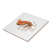 DE GROTE TEGELTJE (Zijkant)