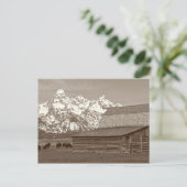 De Grote Tetons van Mormon Row Briefkaart (Staand voorkant)