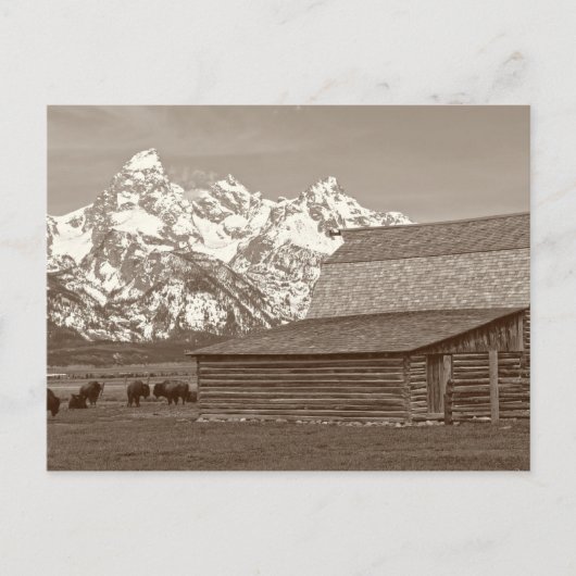 De Grote Tetons van Mormon Row Briefkaart (Voorkant)