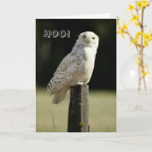 De grote Uil van Snowy White, het Denken aan u Kaart (Gele Bloem)