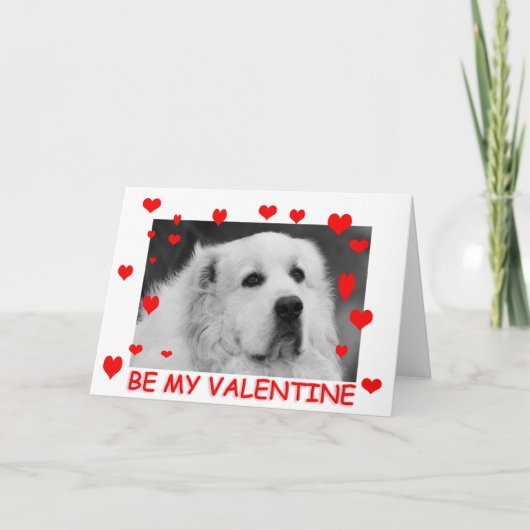 De grote Valentijnse Kaart van de Pyreneeën (Voorkant)