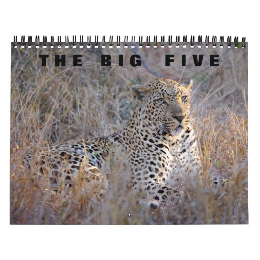 DE GROTE VIJF KALENDER (Hoes)