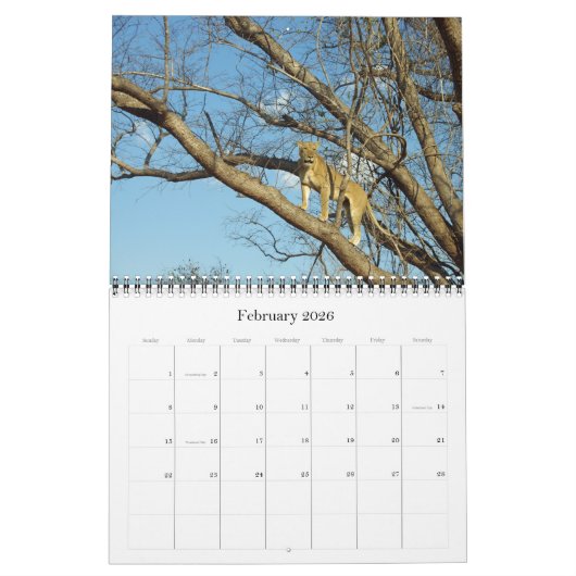 DE GROTE VIJF KALENDER (Feb 2026)