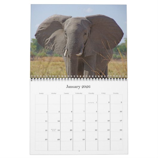 DE GROTE VIJF KALENDER (Jan 2026)