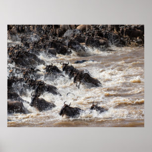 De grote wildebeest kruising - Mara River Safari Poster