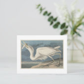 De Grote Witte Heron Briefkaart (Staand voorkant)