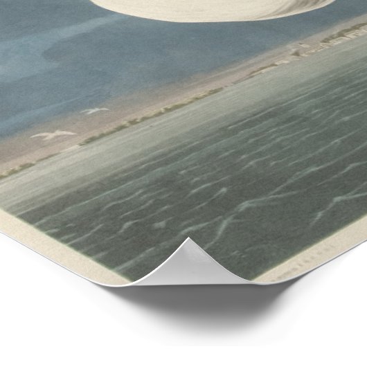 De Grote Witte Heron Poster (Hoek)