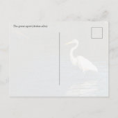 De grote zilverreiger (Ardea alba) vogel Briefkaart (Achterkant)