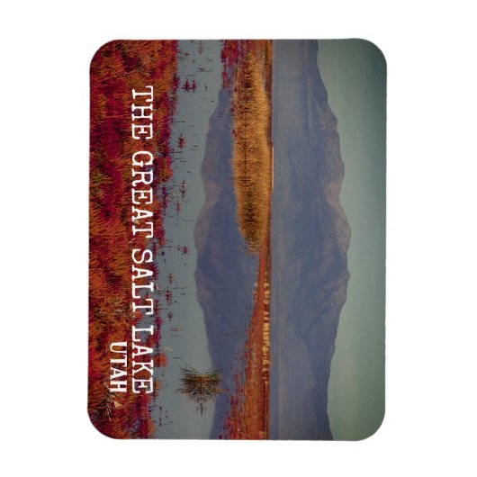 DE GROTE ZOUTLAK, NOORD-UTAH MAGNEET (Verticaal)