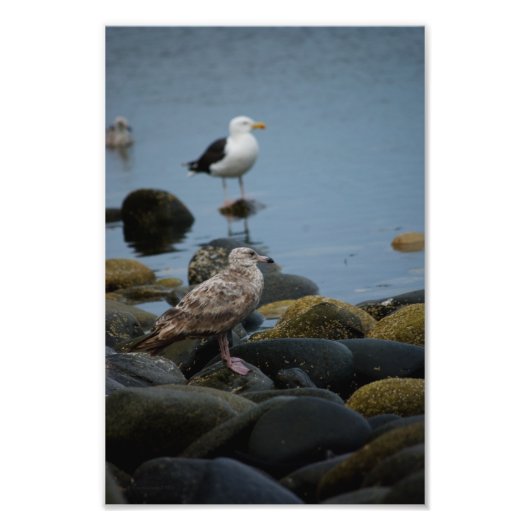 De grote zwarte foto afdruk (Voorkant)