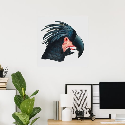 De grote zwarte kaketoe van Francois Levaillant. Poster (Thuiskantoor)