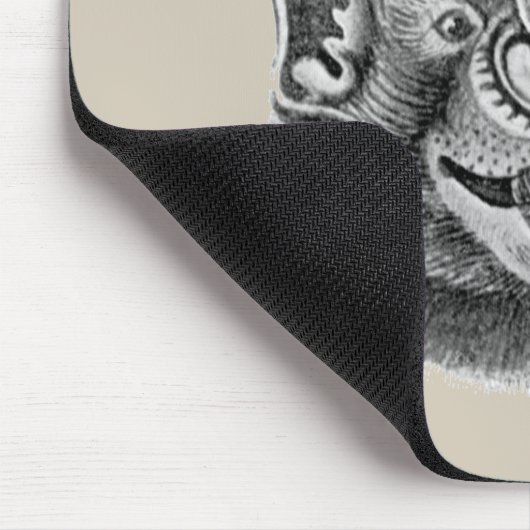 De Grotere Spear-nosed Bat Muismat (Hoek)