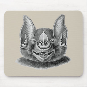De Grotere Spear-nosed Bat Muismat