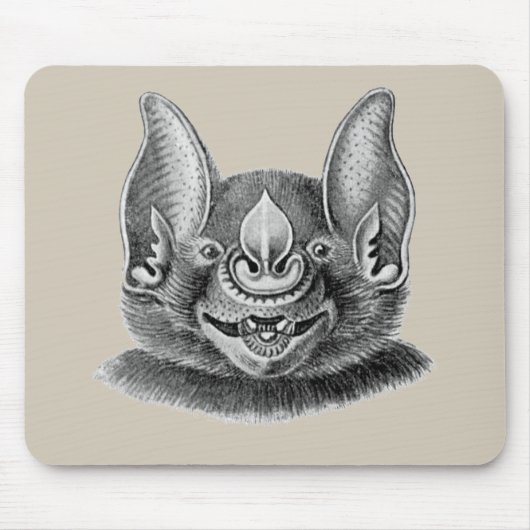 De Grotere Spear-nosed Bat Muismat (Voorkant)