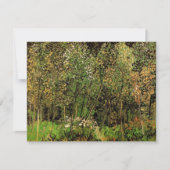 De Grove van Vincent van Gogh (Voorkant)