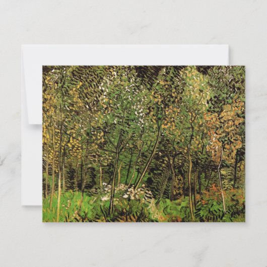 De Grove van Vincent van Gogh (Voorkant)