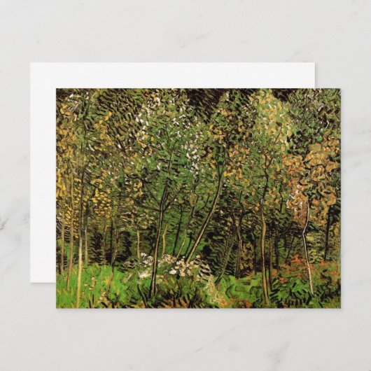 De Grove van Vincent van Gogh (Voorkant / Achterkant)