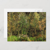 De Grove van Vincent van Gogh Briefkaart (Voorkant / Achterkant)