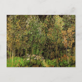 De Grove van Vincent van Gogh Briefkaart (Voorkant)