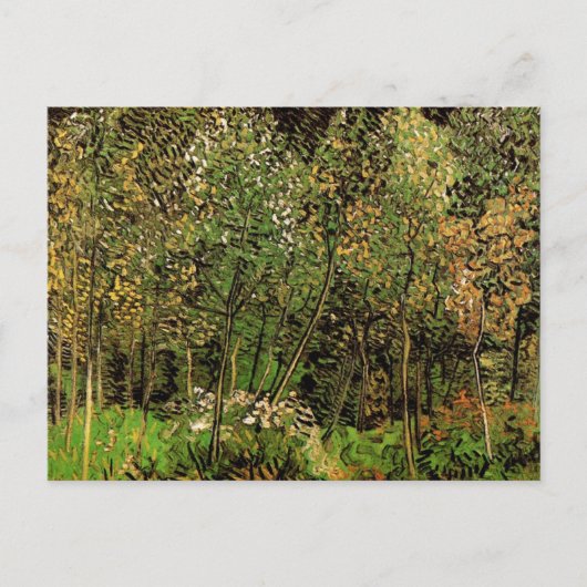 De Grove van Vincent van Gogh Briefkaart (Voorkant)