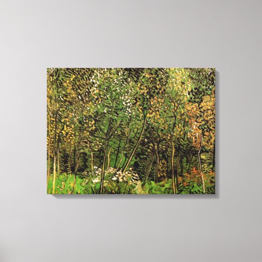 De Grove van Vincent van Gogh Canvas Afdruk (Voorkant)