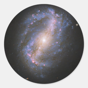 De Gruppe Spiral Galaxy NGC 6217 Ronde Sticker
