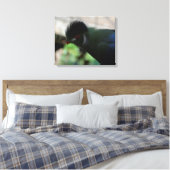 DE GUINEA TURACO INGEPAKTE CANVAS PRINT (Insitu (Slaapkamer))