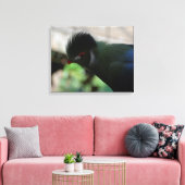 DE GUINEA TURACO INGEPAKTE CANVAS PRINT (Insitu (Woonkamer))