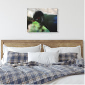 DE GUINEA TURACO INGEPAKTE CANVAS PRINT (Insitu (Slaapkamer))