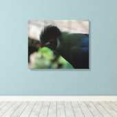 DE GUINEA TURACO INGEPAKTE CANVAS PRINT (Insitu (Houten vloer))